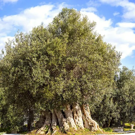 De Charme Capela Artes 4*