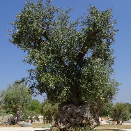 De Charme Capela Artes Armação de Pêra