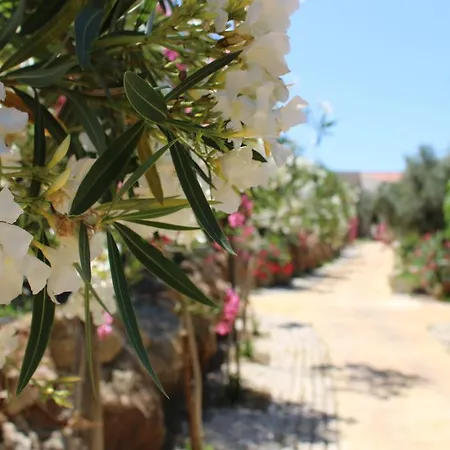De Charme Capela Artes Hotel Armação de Pêra