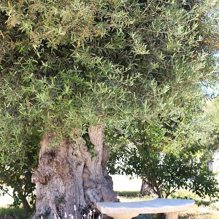 De Charme Capela Artes Ξενοδοχείο Armação de Pêra